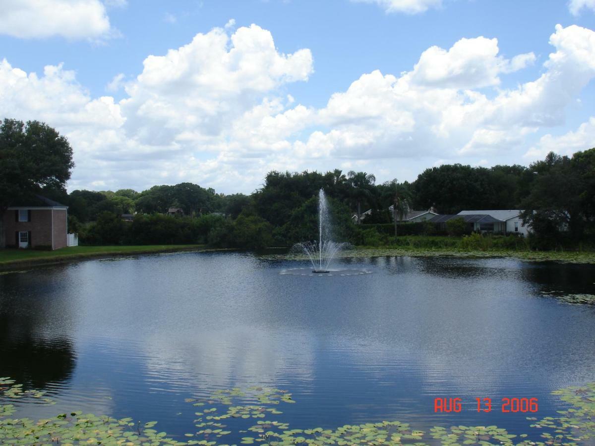 Beautiful Condo Close To Busch Gardens Tampa Esterno foto